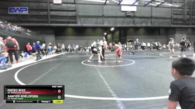 88 lbs Quarterfinal - Sawyer Roelofsen, CK Young Lions vs Mateo Ruiz, DC Wrestling Academy