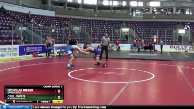 145 lbs Champ. Round 1 - Nicholas Bieber, Dryden Sr HS vs Cael Owen, Horseheads Sr HS