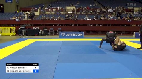 Corey Neilson Brown vs Darious Demond Williams 2024 Pan IBJJF Jiu-Jitsu No-Gi Championship