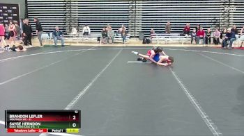 96 lbs Round 5 (10 Team) - Sayge Herndon, Noke Wrestling RTC vs Brandon Lefler, Wolfpack WC