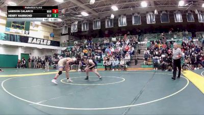 138 lbs Champ. Round 2 - Henry Hammond, Dublin Jerome vs Jamison Calarco, North Royalton High School