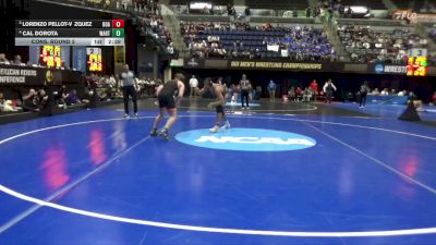 197 lbs Cons. Round 2 - Lorenzo Pellot-Vzquez, Roanoke vs Cal Dorota, Wartburg