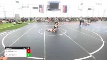 73 lbs Rr Rnd 3 - Q Mulliner, Pahranagat Valley vs Maxim Litvinov, Savage House Wrestling Club