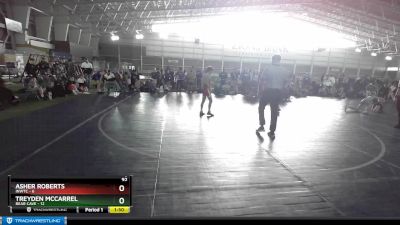 92 lbs Champ Round 1 (16 Team) - Asher Roberts, INWTC vs Treyden McCarrel, Bear Cave