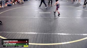 38 lbs Semifinal - Tucker Macomson, Team Tiger vs Tyler Troutman, Pelion Youth Wrestling