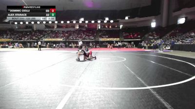 125 lbs Round Of 32 - Dominic Ciolli, Ohio State vs Alex Starace, Albany