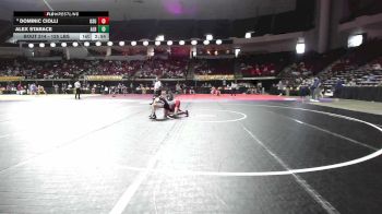 125 lbs Round Of 32 - Dominic Ciolli, Ohio State vs Alex Starace, Albany