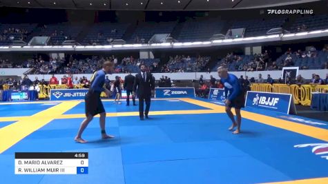 DANIEL MARIO ALVAREZ vs ROBERT WILLIAM MUIR III 2019 World IBJJF Jiu-Jitsu No-Gi Championship