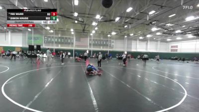 141 lbs Quarterfinal - Tee Ward, Northern Illinois vs Simon Kruse, Wisconsin