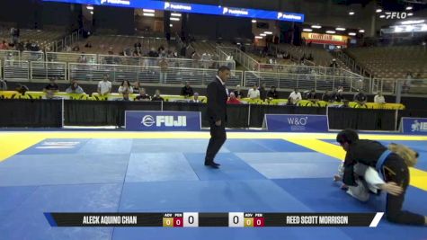 Reed Scott Morrison vs Aleck Aquino Chan 2025 Pan Jiu Jitsu IBJJF Championship