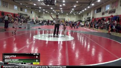 55 lbs 5th Place Match - Briggs Dickey, Forest Lake Wrestling Club vs Cash Little, MN Elite