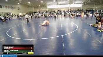 100 lbs Round 3 - Brody Marshall, Panguitch vs Cole Sharp, Uintah Utes