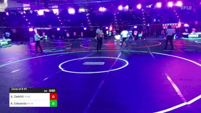 116 lbs Consi Of 8 #1 - Ava DeWitt, Team Montana vs Avery Edwards, MO West