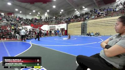 49 lbs Semifinal - Jameson Noland, Contenders Wrestling Acadamy vs Bianca Ruffolo, Chesterton Wrestling Club