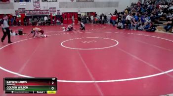 127 lbs Quarterfinal - Kaysen Harms, Wabasso vs Colton Wilson, LeSueur-Henderson