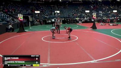 85 lbs Quarterfinal - Channing Peterson, DWA vs Blake Turner, BKV1