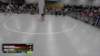 110 lbs Cons. Round 2 - Chloe Wehry, Pursuit Wrestling Minnesota vs Amelia Walk, Immortal Athletics WC