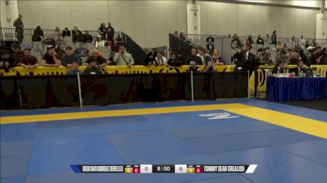 Tommy Sean Grealish vs Doedk David Rodriguez Berrelleza 2024 World IBJJF Jiu-Jitsu No-Gi Championship