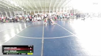 55 lbs Champ. Round 2 - Ledger Collins, Sanderson Wrestling Academy vs Moxey Neibaur, East Idaho Elite Wrestling