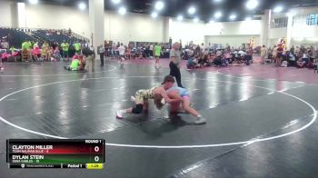 138 lbs Round 1 (6 Team) - Dylan Stein, Iowa Gables vs Clayton Miller, Team Nauman Blue