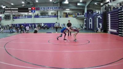 110 lbs Cons. Round 2 - Audrie Felkins, Colby Community College vs Kailyn Bridges, McMurry