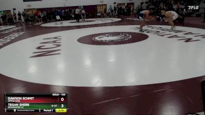 133 lbs Semifinal - Tegan Sherk, Ridgewater CC vs Dawson Schmit, Upper Iowa