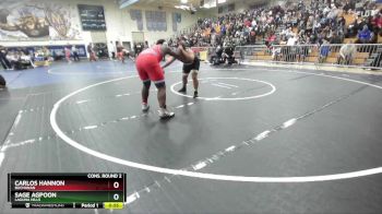 285 lbs Cons. Round 2 - Sage Agpoon, Laguna Hills vs Carlos Hannon, Buchanan