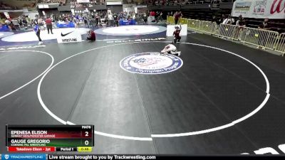 102 lbs Quarterfinal - Epenesa Elison, Sunkist Kids/Monster Garage vs Gauge Gregorio, Corning PAL Wrestling