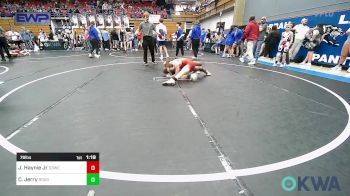 76 lbs Semifinal - Jerell Haynie Jr, D3 Wrestling Cluib vs Caden Jerry, Rough Riders