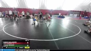 170 lbs Round 2 (4 Team) - Tyson Bogacz, Lena vs Lance Gallagher, Grant Community