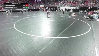 D1-144 lbs Champ. Round 1 - Vinny Costabilo, River Falls vs Daire Hankins, Racine St. Catherine`s/Lutheran