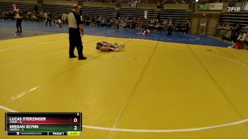 95 lbs Semis (4 Team) - Keegan Glynn, Waseca vs Lucas Sterzinger, Canby