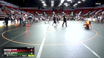 171 lbs Cons. Round 1 - Hector Jimenez, Portage Central vs Shannon Davie, Eagle Empire