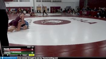 157 lbs Quarterfinal - Blake Jagodzinske, Augsburg vs Chance Throndson, Upper Iowa