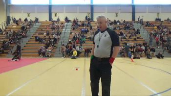 80 lbs Cons. Round 3 - LeRoy Haaland, Le Sueur-Henderson vs Chase Brown, Legends Of Gold