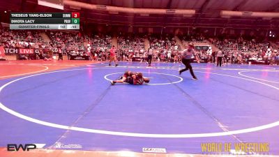 49 lbs Quarterfinal - Theseus Yang-Elson, Summit Wrestling Academy vs Dikota Lacy, Proviso Township Gladiators