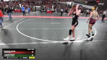 125 lbs Quarterfinal - Logan Salm, Luxemburg-Casco vs Damon Davis, Winneconne
