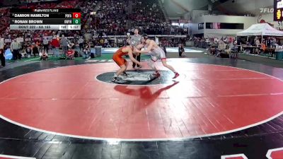 6A 165 lbs Semifinal - Ronan Brown, Owyhee vs Damion Hamilton, Post Falls