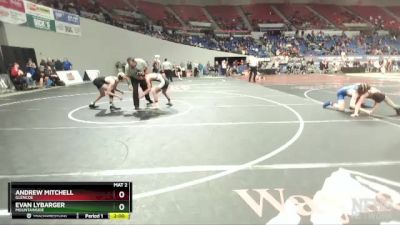6A-113 lbs Champ. Round 1 - Evan Lybarger, Mountainside vs Andrew Mitchell, Glencoe
