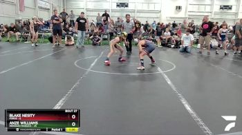 72 lbs Round 7 (8 Team) - Blake Nesity, Forge vs Anze Williams, Meridian Maniacs