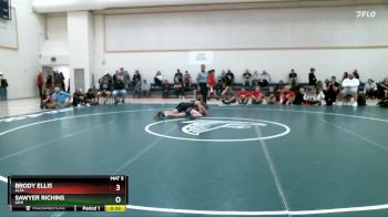 106 lbs Cons. Round 3 - Brody Ellis, Alta vs Sawyer Richins, Lehi