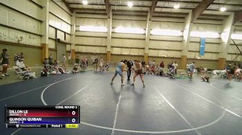 145 lbs Semis & Wb (16 Team) - Dillon Le, Oregon 2 vs Quinson Quiban, Hawaii 2