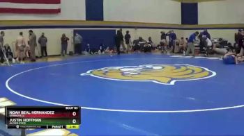 157 lbs Champ. Round 2 - Noah Beal Hernandez, Springfield vs Justin Hoffman, Alfred State