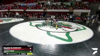 132 lbs Round 1 (8 Team) - Raleigh Blankenship, Canyon vs Naomi Carle, Anna