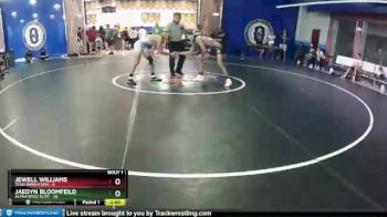 138 lbs Finals (2 Team) - Jaedyn Bloomfeild, Alpha Dogz Elite vs Jewell Williams, Team Barracuda