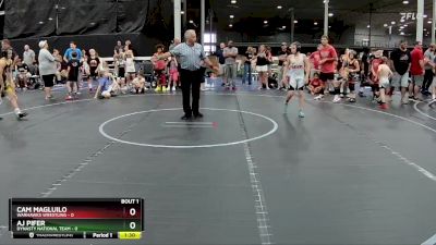 88 lbs Semis (4 Team) - Cam Magluilo, Warhawks Wrestling vs AJ Pifer, Dynasty National Team