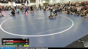 84 lbs Quarterfinal - Eli Anderson, SD vs Declan Jones, WA