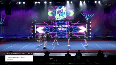 Lenape Valley Indians - Rec Cheer [2023 Show Cheer 1 Peewee Small Day 4] 2023 Pop Warner National Cheer & Dance Championship