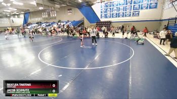 64-69 lbs Round 3 - Skai`Lea Takitaki, Westlake vs Jacob Schmutz, Charger Wrestling Club