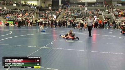 70 lbs Champ. Round 3 - Kaden Williamson, Sebolt Wrestling Academy vs Wyatt Michelson, Moen Wrestling Academy